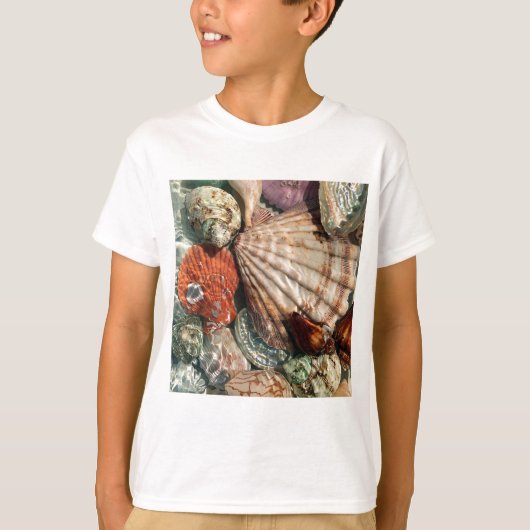 Seashells T-shirt (Voorkant)