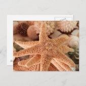 Seashells te koop Zihuatanejo, Mexico Briefkaart (Voorkant / Achterkant)