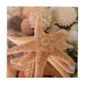 Seashells te koop Zihuatanejo, Mexico Tegeltje (Voorkant)