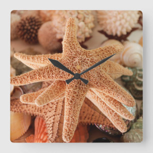 Seashells te koop Zihuatanejo, Mexico Vierkante Klok