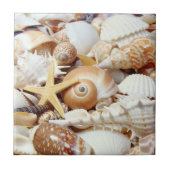 Seashells Tegeltje (Voorkant)