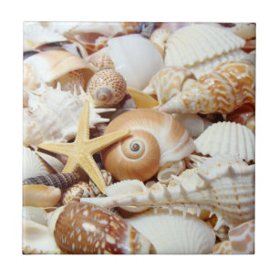 Seashells Tegeltje