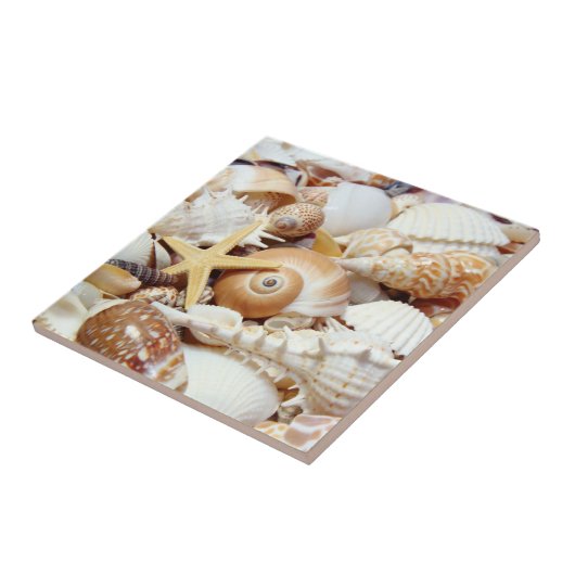 Seashells Tegeltje (Zijkant)