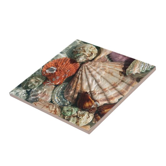 Seashells Tegeltje (Zijkant)