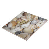 Seashells Tegeltje (Zijkant)