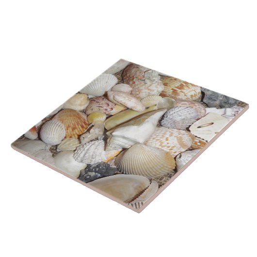 Seashells Tegeltje (Zijkant)