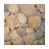 Seashells Tile Tegeltje (Voorkant)