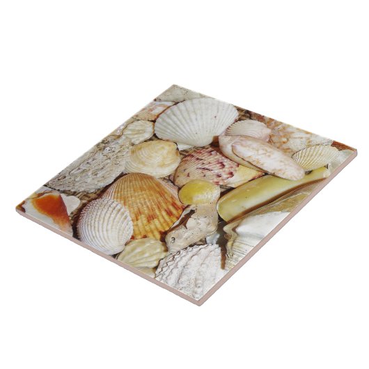 Seashells Tile Tegeltje (Zijkant)