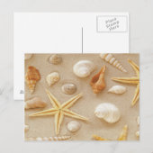 Seashells van de Seashore Briefkaart (Voorkant / Achterkant)