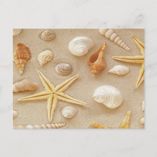 Seashells van de Seashore Briefkaart (Voorkant)
