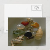 Seashells van de Seashore- Briefkaart (Voorkant / Achterkant)