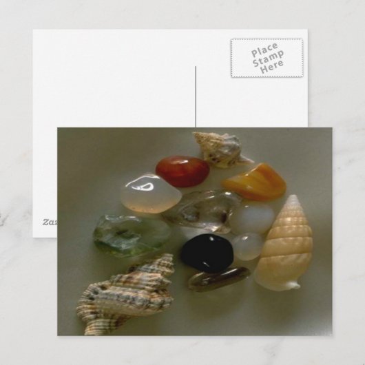 Seashells van de Seashore- Briefkaart (Voorkant / Achterkant)