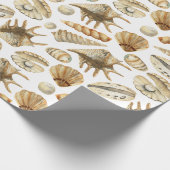 Seashells van de Seashore Cadeaupapier (Hoek)