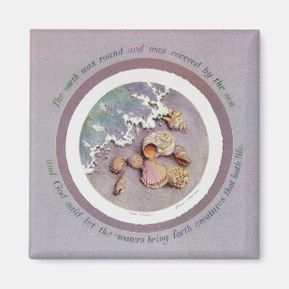 SEASHELLS VAN SHARON SHARPE MAGNEET