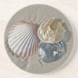 Seashells Zandsteen Onderzetter