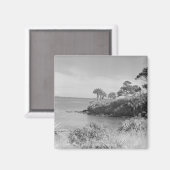 Seashore Magneet (Voorkant / Achterkant)