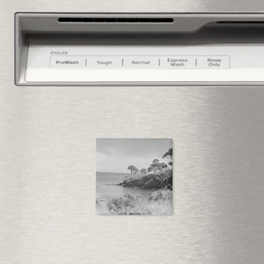 Seashore Magneet (Insitu (Vaatwasser))