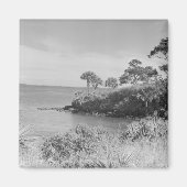 Seashore Magneet (Voorkant)