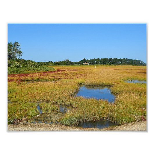 Seashore Marsh Photo Print Foto Afdruk (Voorkant)