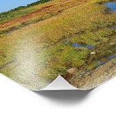Seashore Marsh Photo Print Foto Afdruk (Hoek)