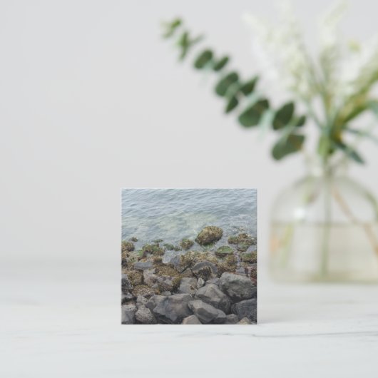 seashore-rotsen informatiekaartje (Staand voorkant)