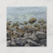 seashore-rotsen informatiekaartje (Voorkant)