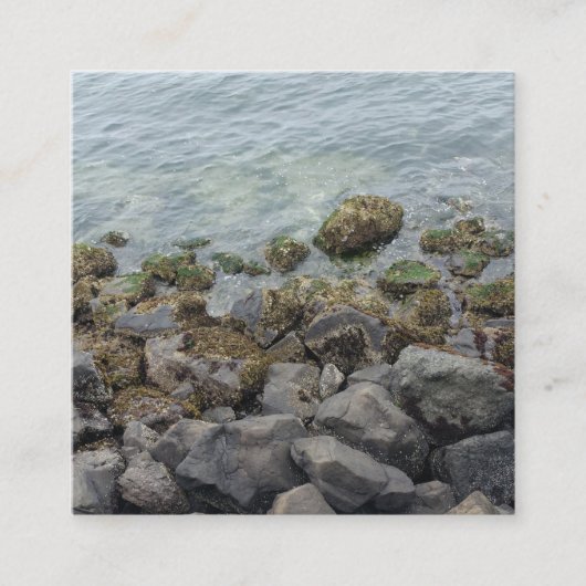 seashore-rotsen informatiekaartje (Voorkant)