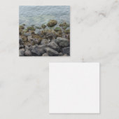 seashore-rotsen informatiekaartje (Voorkant / Achterkant)