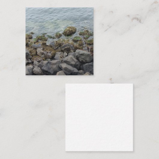 seashore-rotsen informatiekaartje (Voorkant / Achterkant)