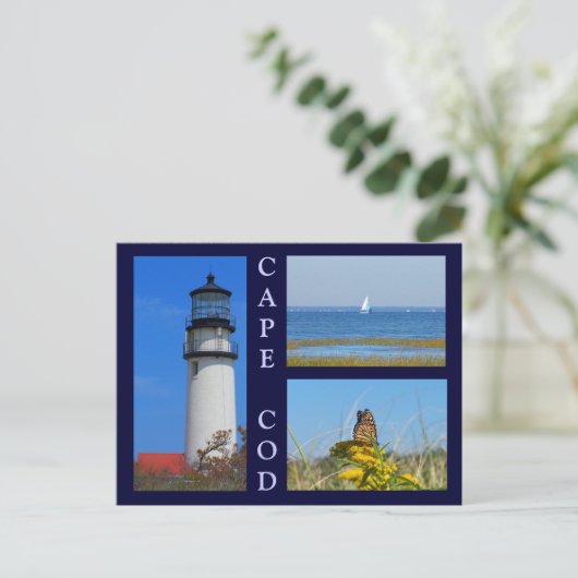 Seashore Scenes Briefkaart (Staand voorkant)