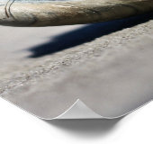 Seashore Seashells Poster (Hoek)