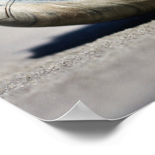 Seashore Seashells Poster (Hoek)