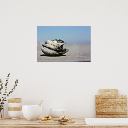 Seashore Seashells Poster (Keuken)