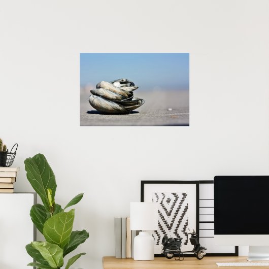Seashore Seashells Poster (Thuiskantoor)