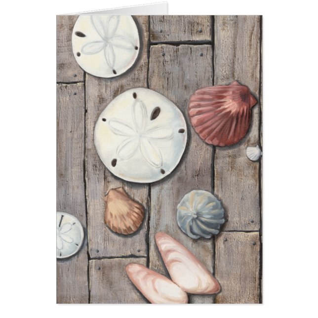 Seashore Treasures (Voorkant)