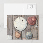 Seashore Treasures Briefkaart (Voorkant / Achterkant)