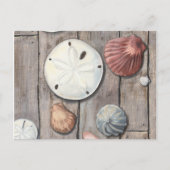 Seashore Treasures Briefkaart (Voorkant)