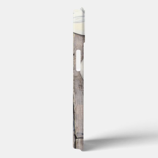 Seashore Treasures Case-Mate iPhone Case (Achterkant / Rechts)