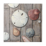 Seashore Treasures Tegeltje<br><div class="desc">Megan Meagher staat bekend om haar eenvoudige kunstwerken. Dit afbeelding beschrijft de eenvoud van de schatten van de kust, inclusief zanddollars en seizoenen in een pastelkleurige toon. Meagher omringt een houten achtergrond in haar afbeelding om deze schatten te contrasteren. Profiteer vandaag van deze fijne kunstdruk op houtkleur op uw Zazzle-product....</div>