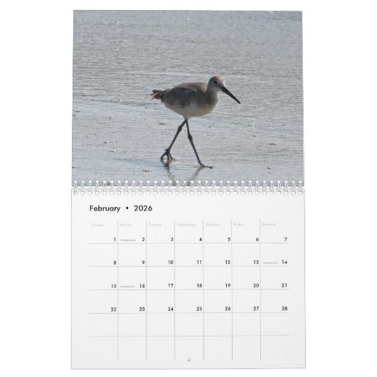 Seashores Calendar Kalender (Feb 2026)