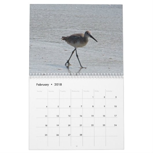 Seashores Calendar Kalender (Feb 2018)