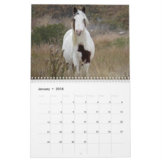 Seashores Calendar Kalender (Jan 2018)