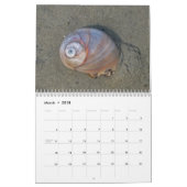 Seashores Calendar Kalender (Mar 2018)