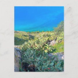 Seaside Cactus Nafplion Griekenland Briefkaart