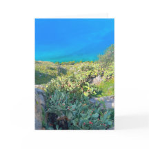 Seaside Cactus Nafplion Griekenland