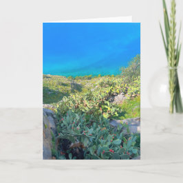 Seaside Cactus Nafplion Griekenland Kaart