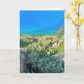 Seaside Cactus Nafplion Griekenland Kaart (Gele Bloem)