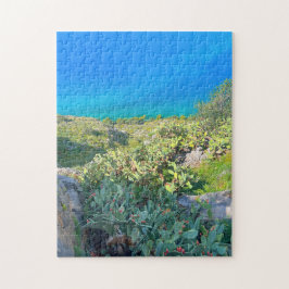 Seaside Cactus Nafplion Griekenland Legpuzzel