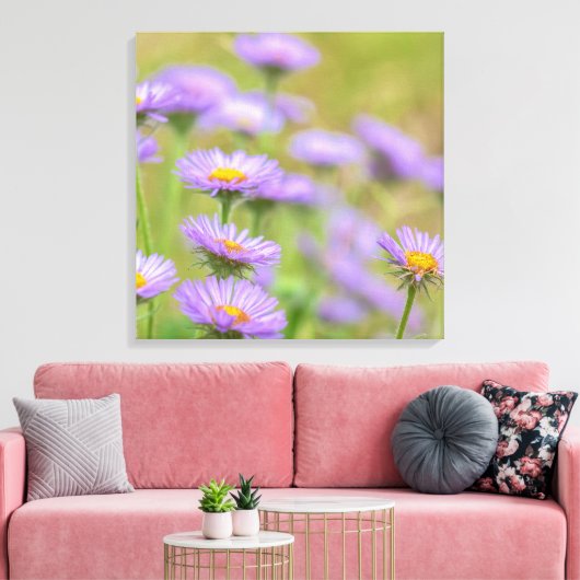 Seaside Daisies Canvas Afdruk (Insitu (Woonkamer))