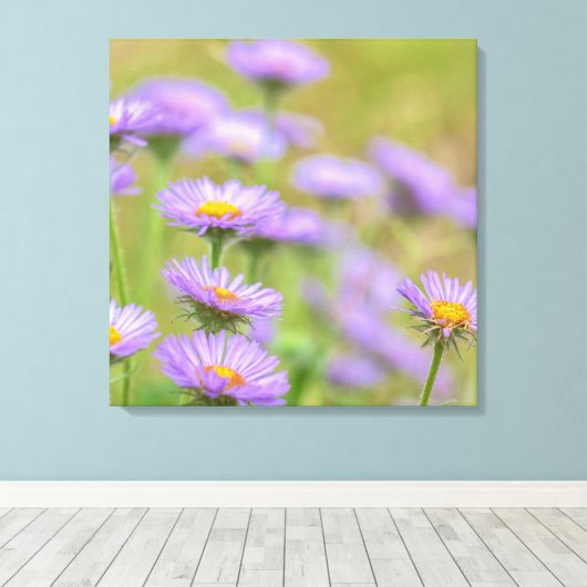 Seaside Daisies Canvas Afdruk (Insitu (Houten vloer))